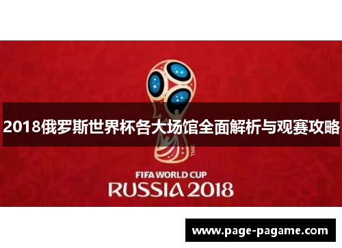 2018俄罗斯世界杯各大场馆全面解析与观赛攻略