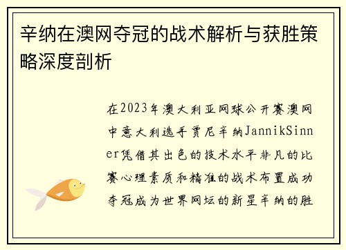 辛纳在澳网夺冠的战术解析与获胜策略深度剖析