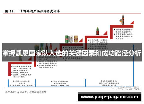 掌握凯恩国家队入选的关键因素和成功路径分析