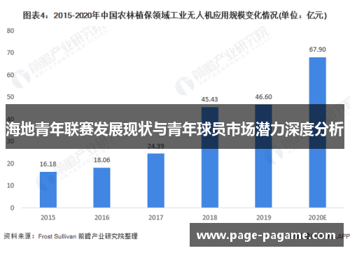 海地青年联赛发展现状与青年球员市场潜力深度分析