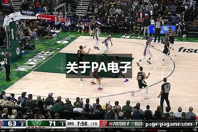 关于PA电子